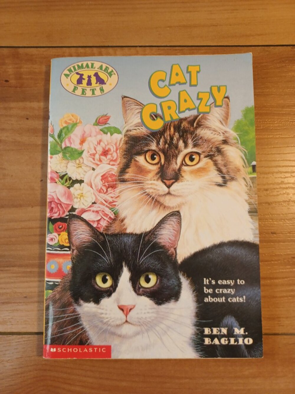 Cat Crazy Book Set Of 3
